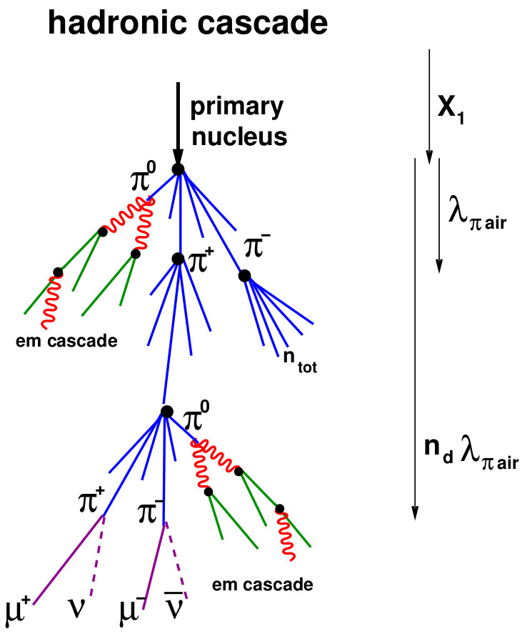 Schematic development of an hadronic air shower. From .
‘’’